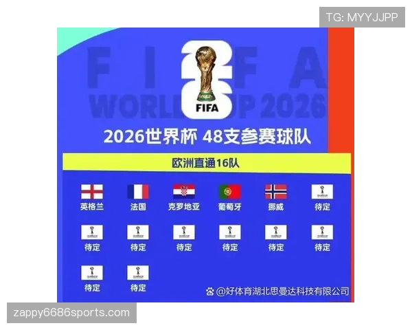 2026世界杯D组完整赛果：6场小组赛信息整理
